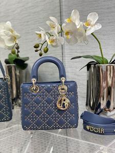 DIOR Handbags 1088